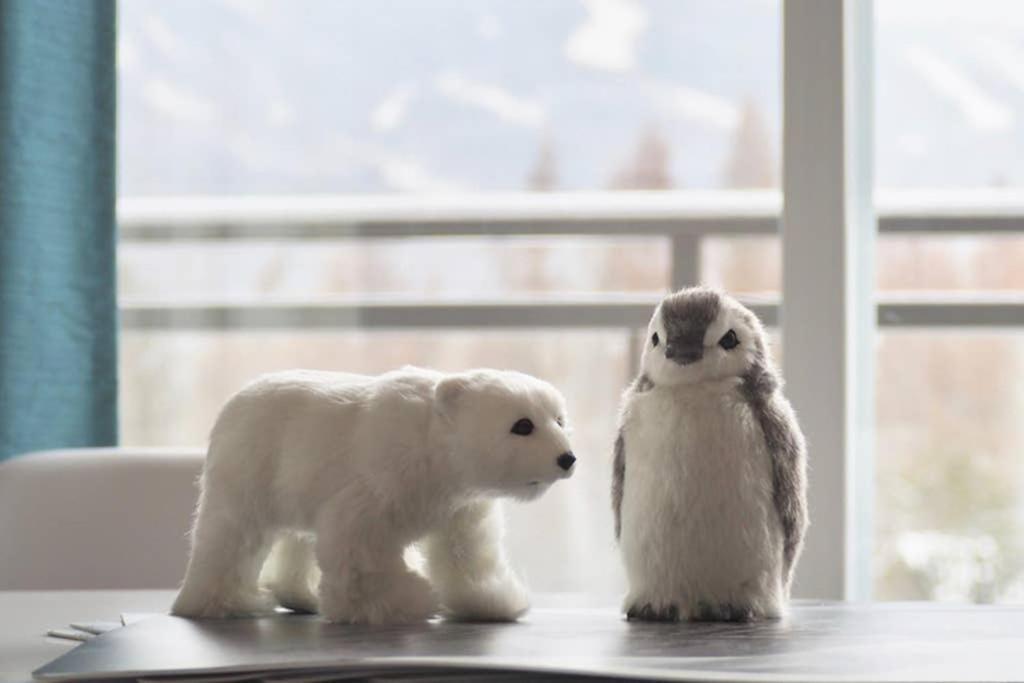 Initial - Forest Friends - Mont-Sainte-Anne Beaupre Luaran gambar